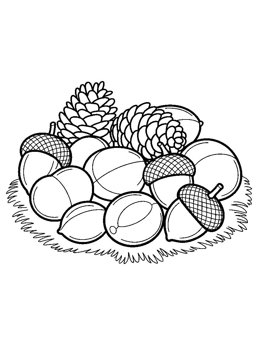 Conkers, acorns and pinecones together - a free printable autumn coloring page