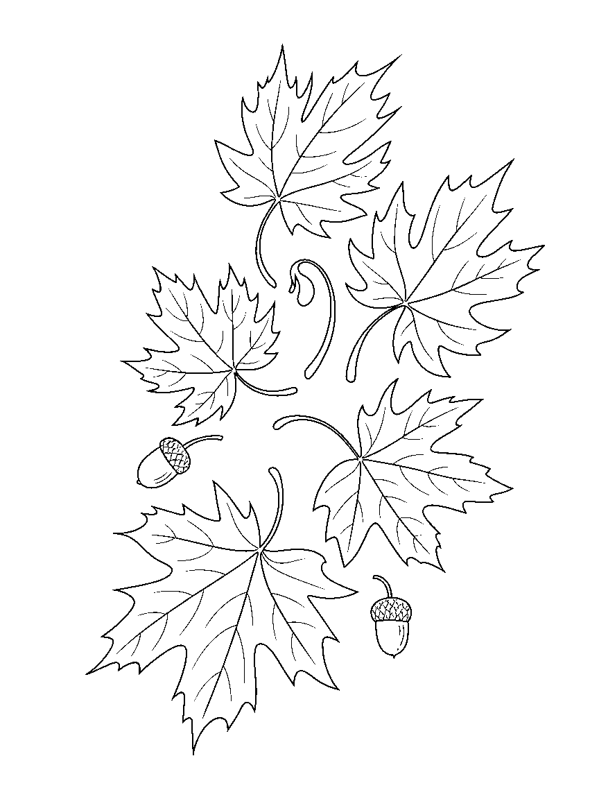 Five maple leaves falling - a free printable autumn coloring page