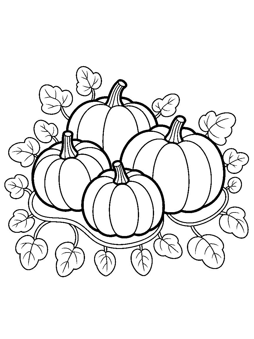 Three pumpkins on the vine with big leaves - a free printable autumn coloring page